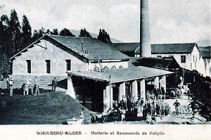 MIRABEAU - HUILERIE ET SAVONNERIE DE KABYLIE